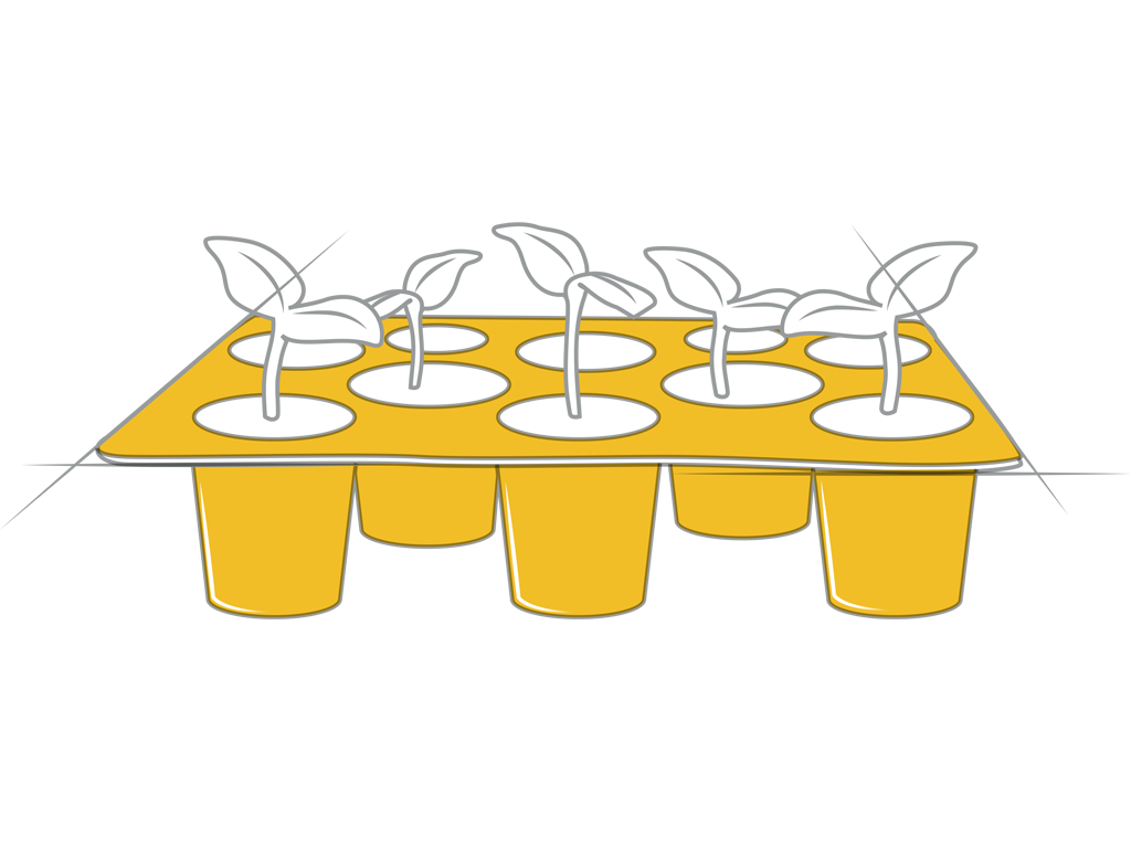 <span>Florovivaismo</span>
